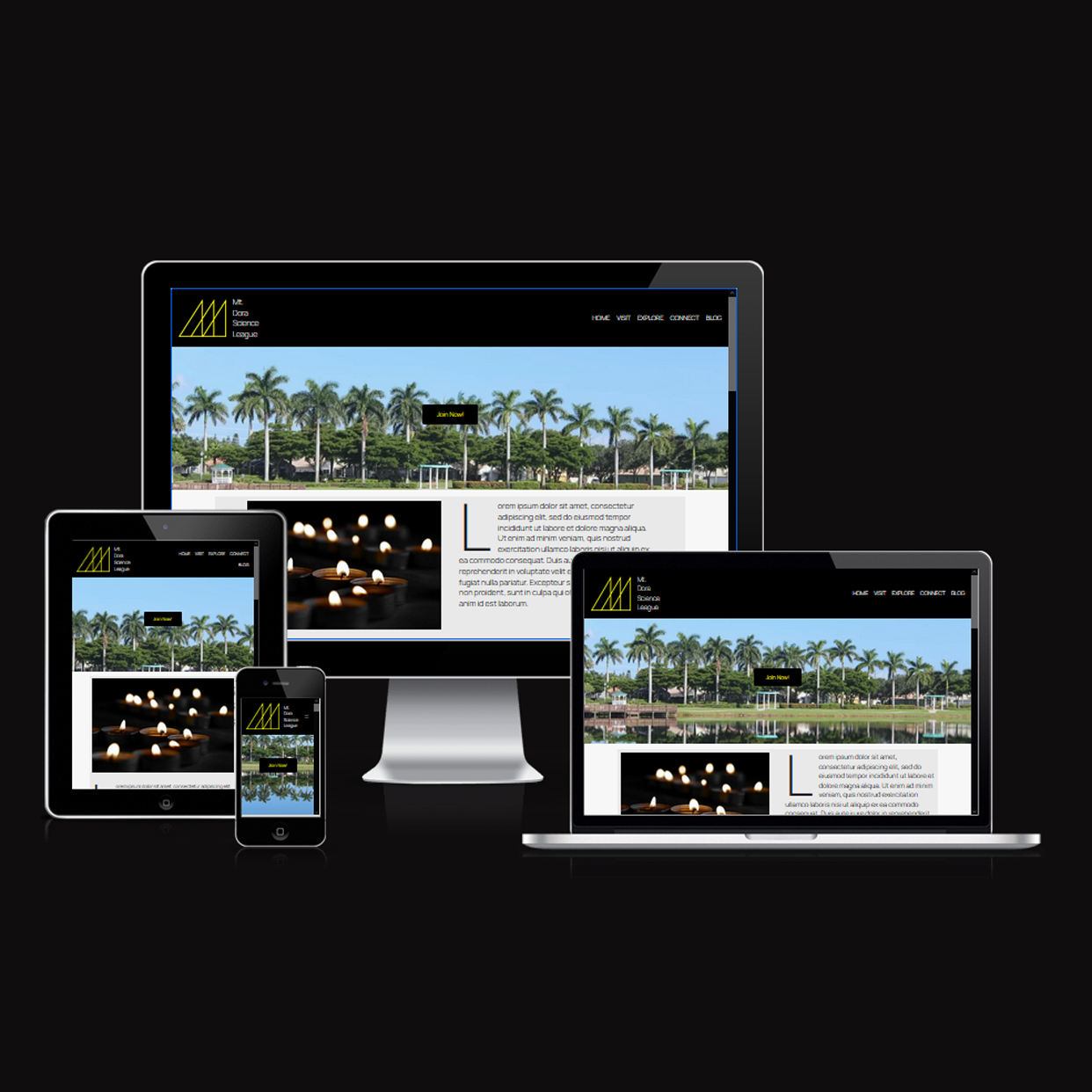 Mt Dora Science League Website 